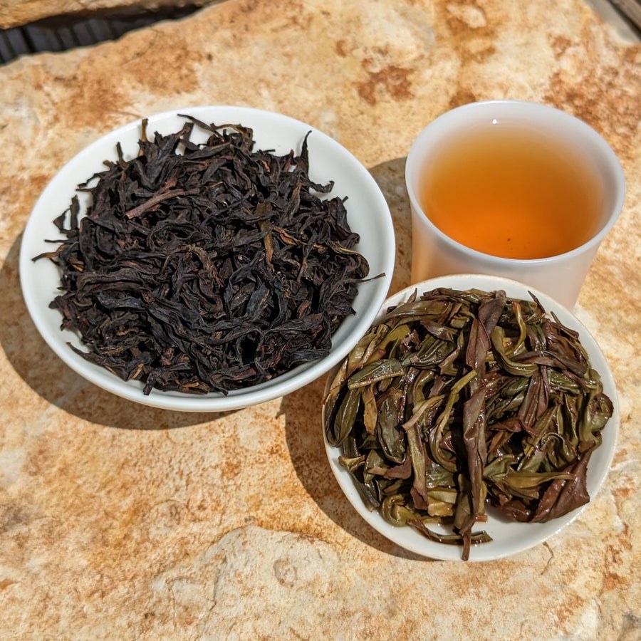 Honey Orchid Dan Cong