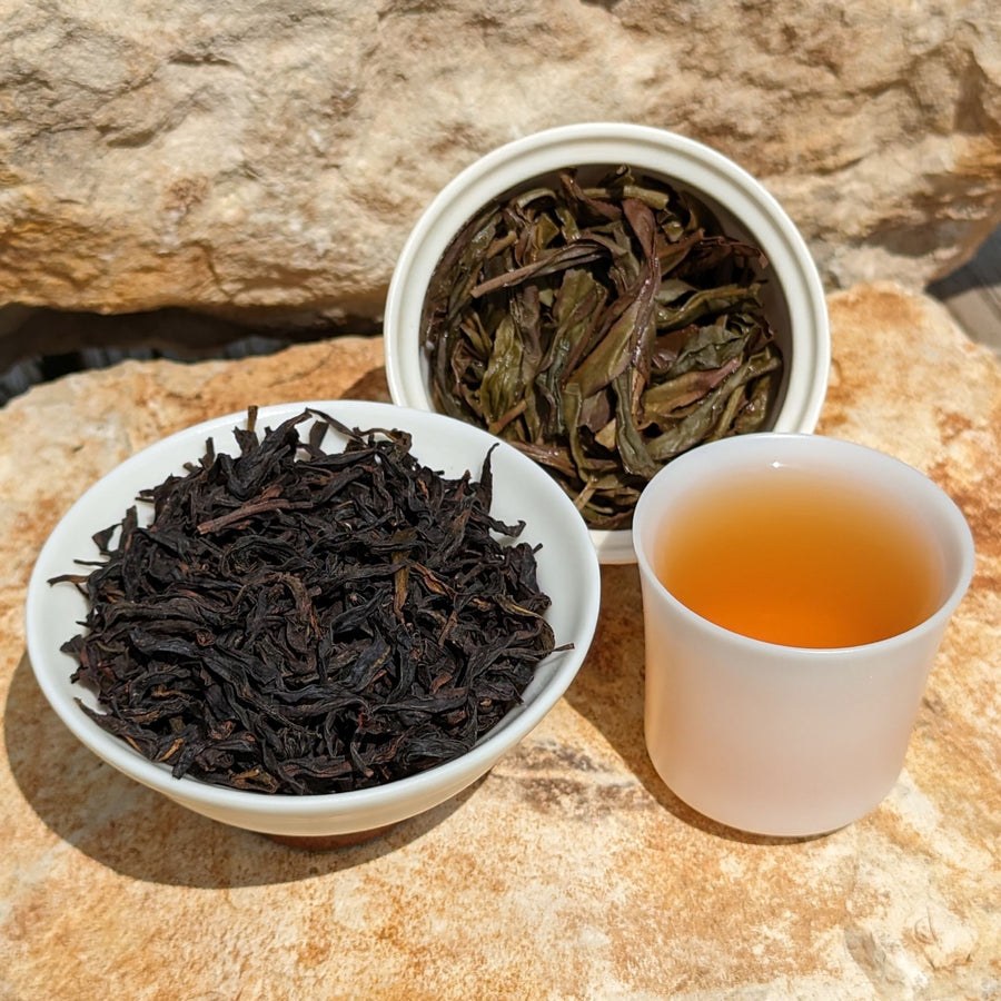 Honey Orchid Dan Cong